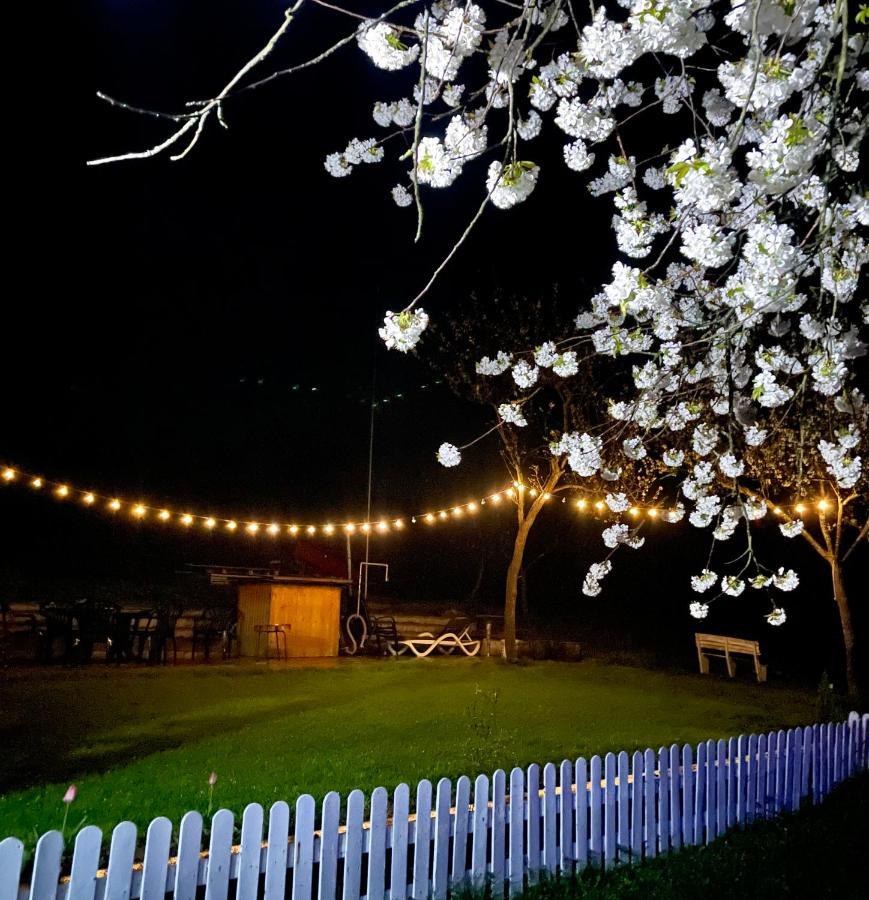 Hotel Langaland Glamping Susenii Birgaului Esterno foto