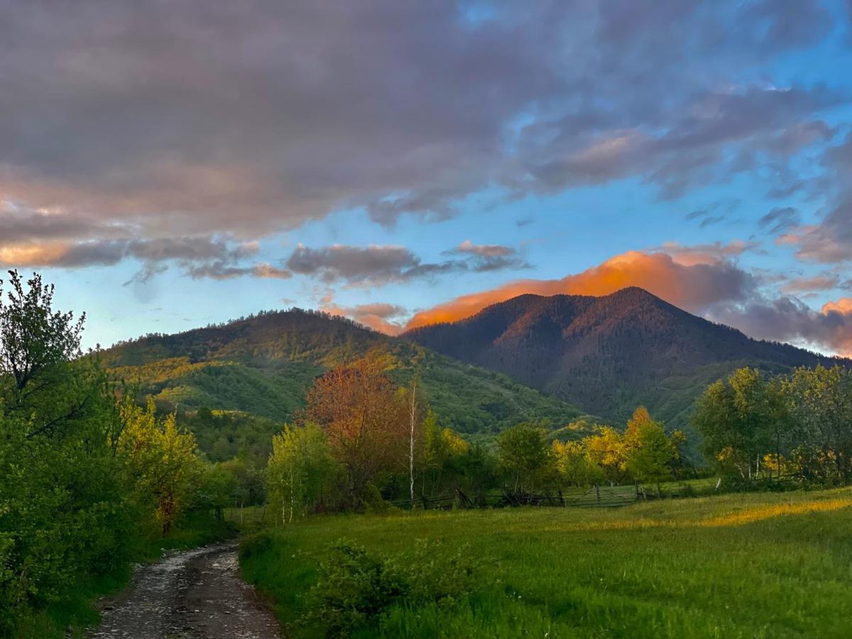 Hotel Langaland Glamping Susenii Birgaului Esterno foto