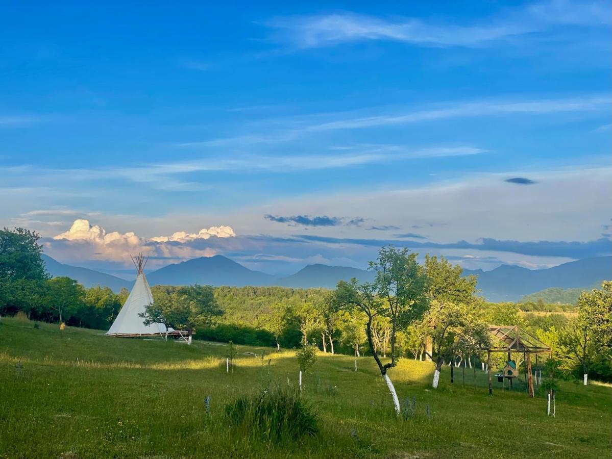 Hotel Langaland Glamping Susenii Birgaului Esterno foto