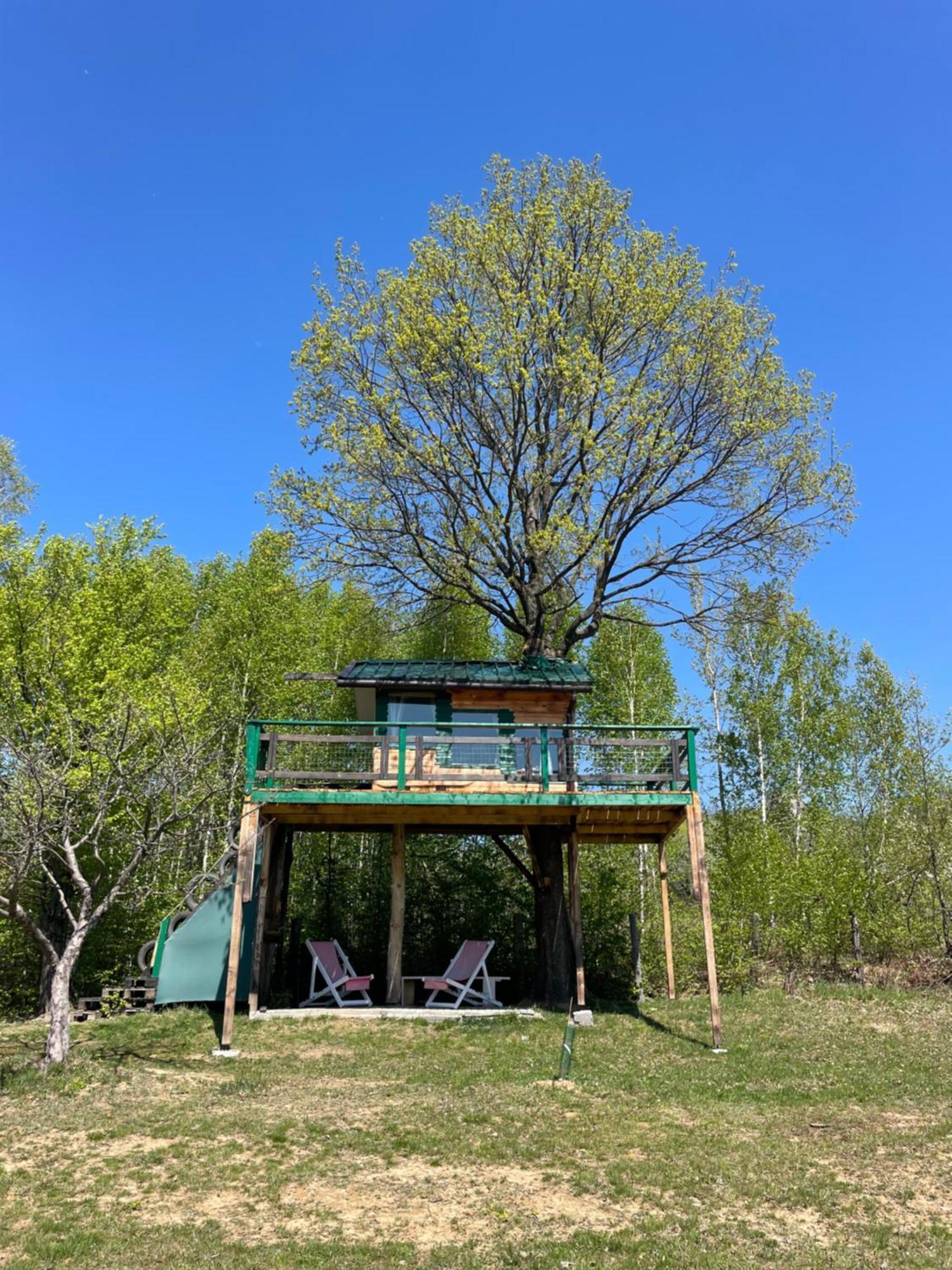 Hotel Langaland Glamping Susenii Birgaului Esterno foto