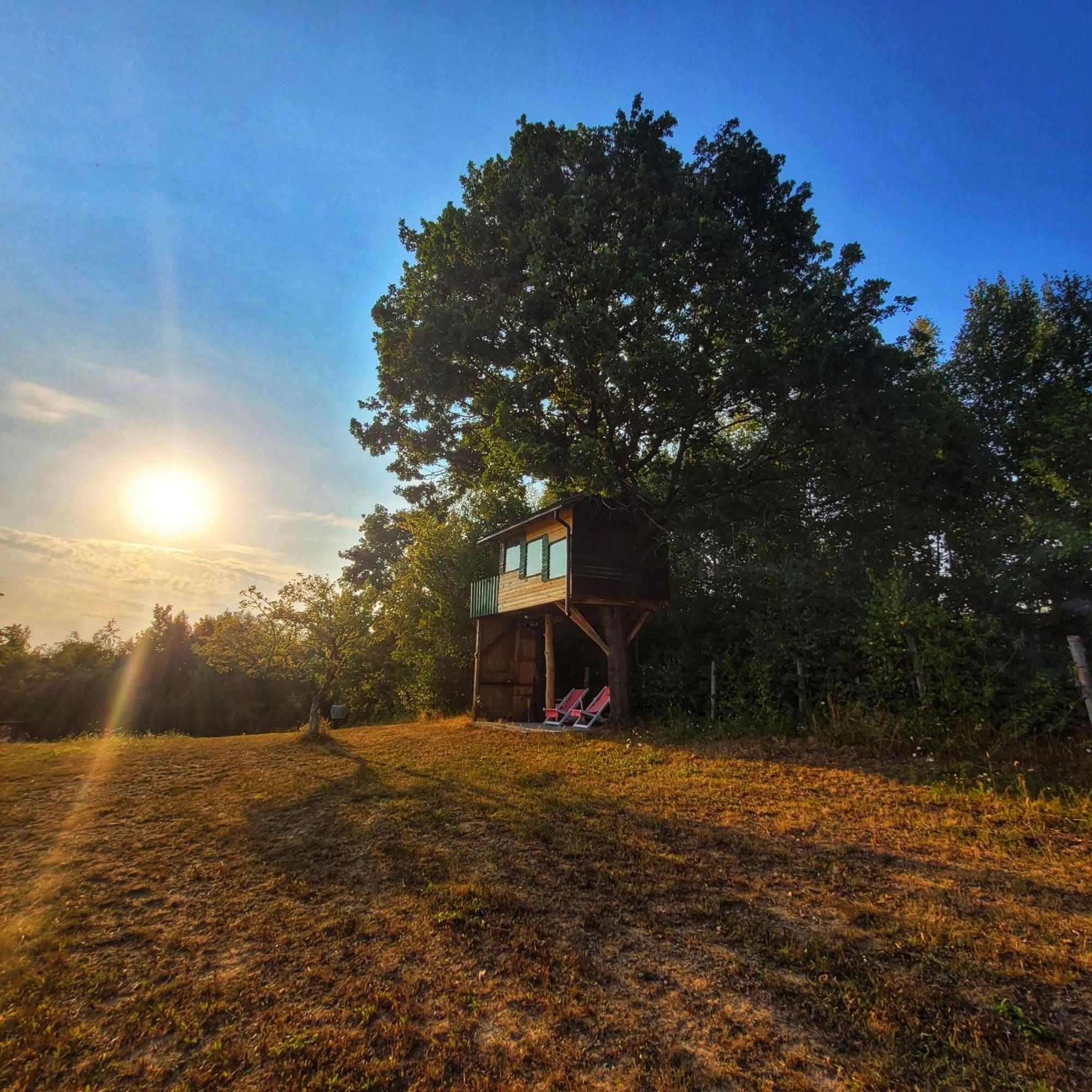 Hotel Langaland Glamping Susenii Birgaului Esterno foto