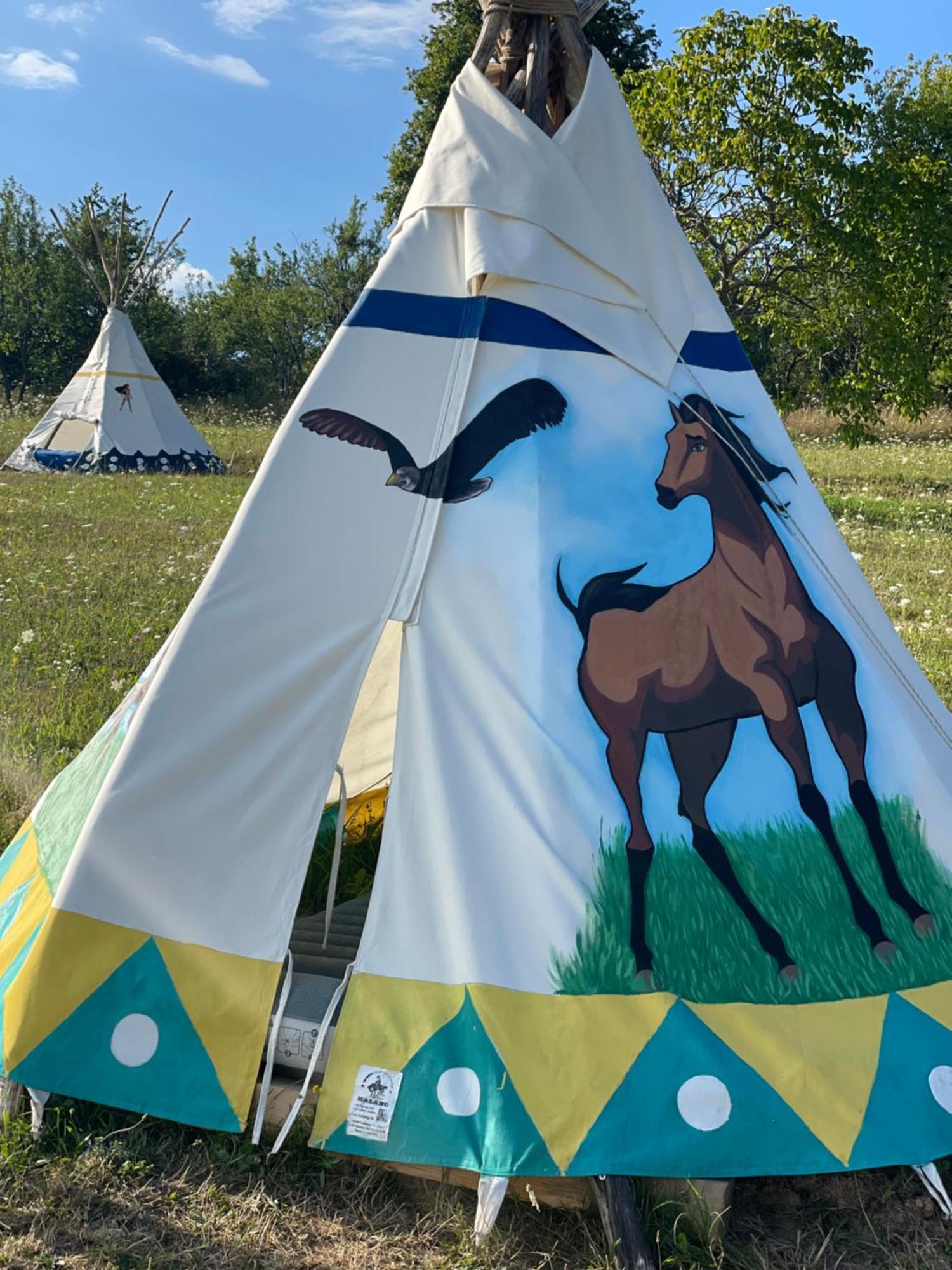 Hotel Langaland Glamping Susenii Birgaului Esterno foto